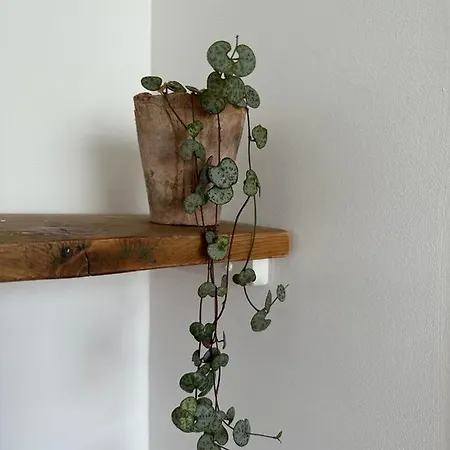 La Maison Du Tripot Bed & Breakfast 3*