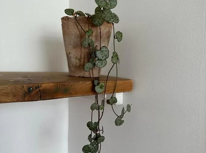 La Maison Du Tripot B&B 3*